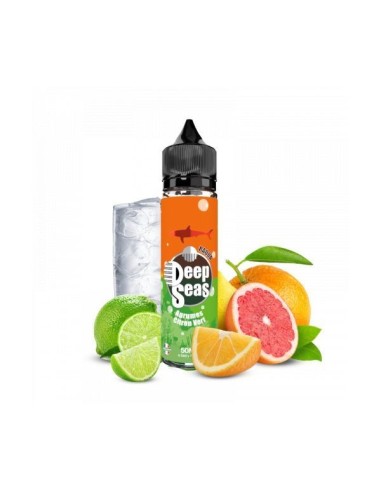 RAQUA DEEP SEAS ETASTY 50ML | E-liquide fruité marin | Kumo