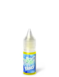Ice Mint E-Salt Fruizee 10ml | Sel de Nicotine Menthe Glaciale | Kumo