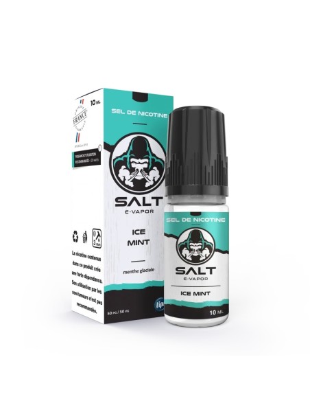 ICE MINT SALT E-VAPOR FRENCH LIQUIDE 10 ML