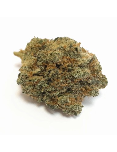 Fleurs CBD Fruity Oop 10g - Notes fruitées et céréalières | Kumo