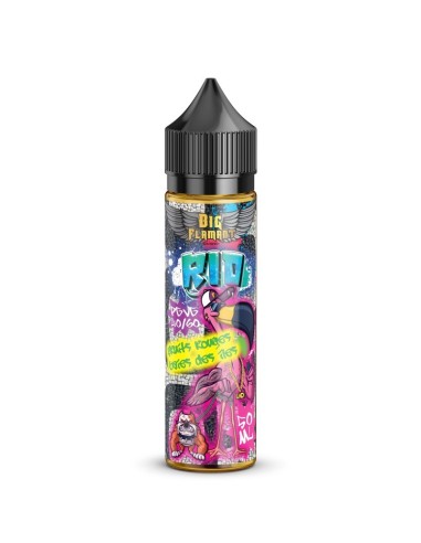 Rio Big Flamant Liquidarom 50ml - E-liquide Fruité | Kumo