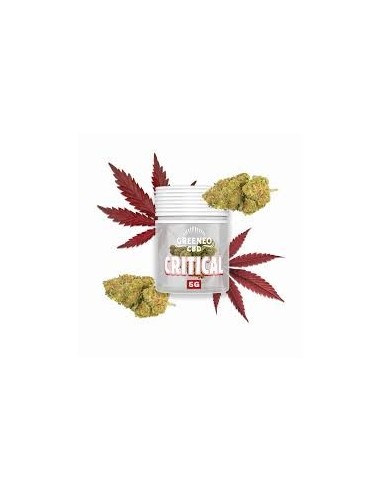 Fleur CBD Critical 5g Greeneo | Qualité Premium | Kumo