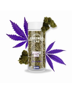 Purple Haze 15g Fleur CBD Greeneo | Kumo Vape