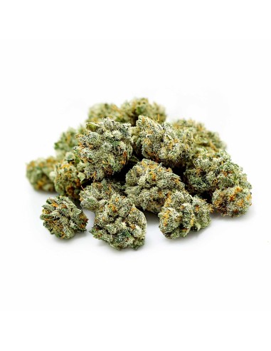 California Haze CBD - Fleur Premium Papy CBD | Kumo