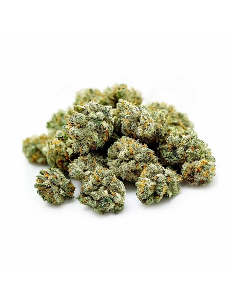 California Haze CBD - Fleur Premium Papy CBD | Kumo