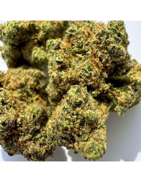 Mango Kush Greenhouse 10g Fleur CBD Kumo | Kumovape