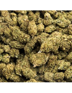 Super Skunk Indoor 10g Fleur CBD Kumo | Qualité Premium