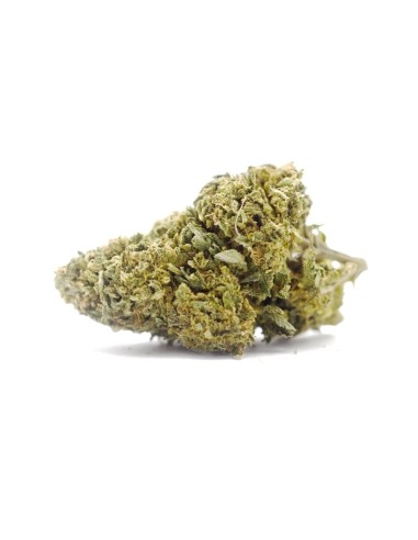 Super Skunk Indoor 2g Fleur CBD Kumo - Qualité Premium | Kumo