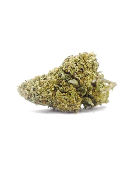 Super Skunk Indoor 2g Fleur CBD Kumo - Qualité Premium | Kumo